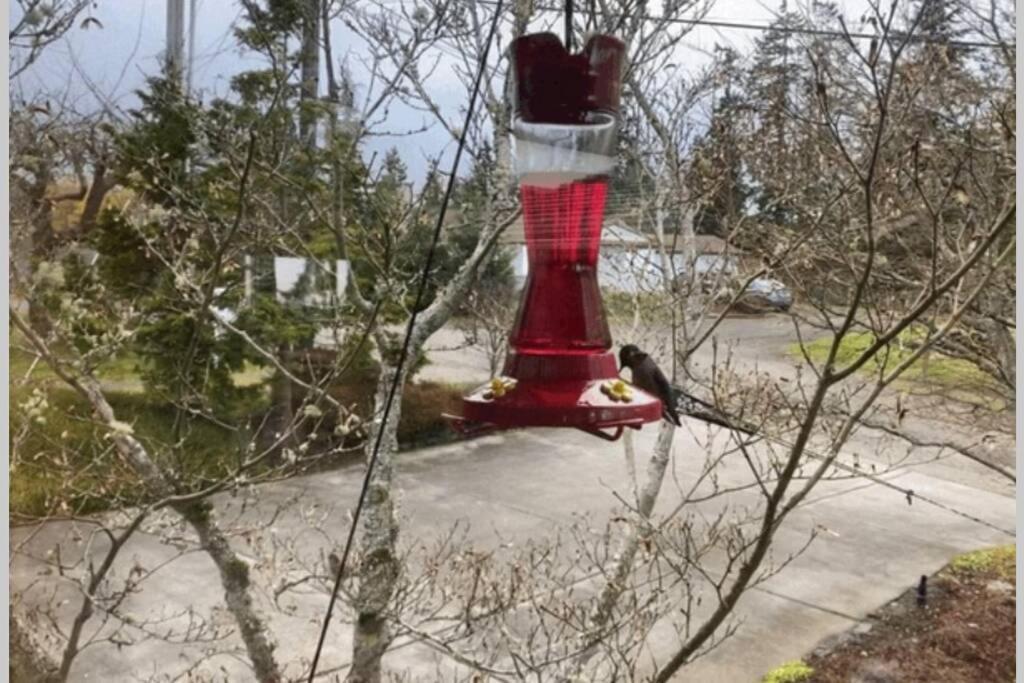 Holiday home Crash Pad Port Angeles